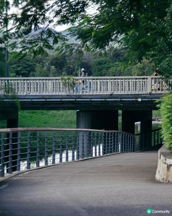 深圳華強北中心公園周末必去🍃宮崎駿「網紅橋」小紅書爆紅必打卡✨