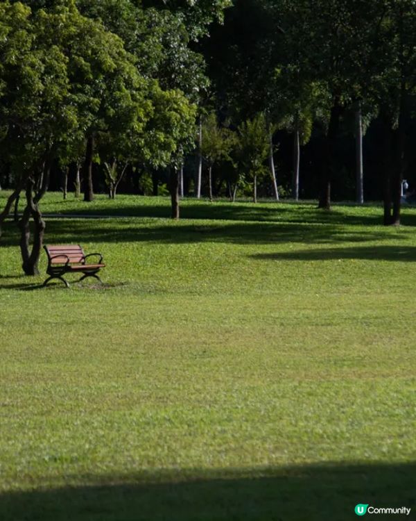 深圳華強北中心公園周末必去🍃宮崎駿「網紅橋」小紅書爆紅必打卡✨