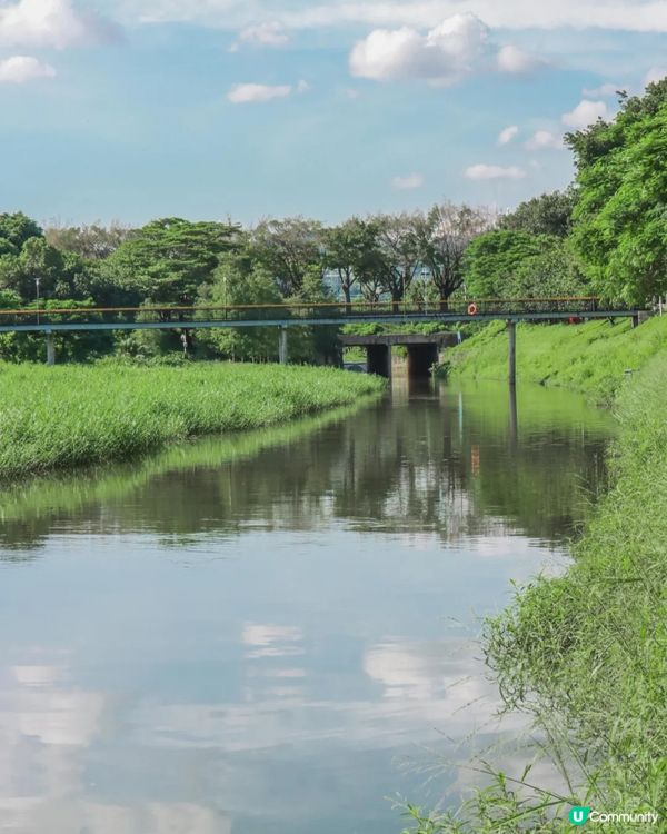 深圳華強北中心公園周末必去🍃宮崎駿「網紅橋」小紅書爆紅必打卡✨