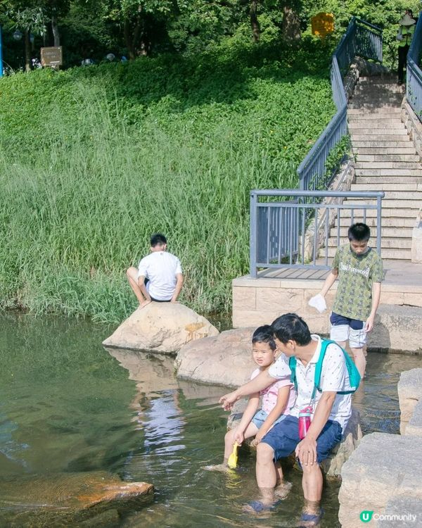 深圳華強北中心公園周末必去🍃宮崎駿「網紅橋」小紅書爆紅必打卡✨