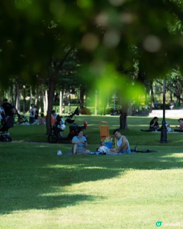 深圳華強北中心公園周末必去🍃宮崎駿「網紅橋」小紅書爆紅必打卡✨