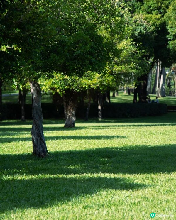 深圳華強北中心公園周末必去🍃宮崎駿「網紅橋」小紅書爆紅必打卡✨