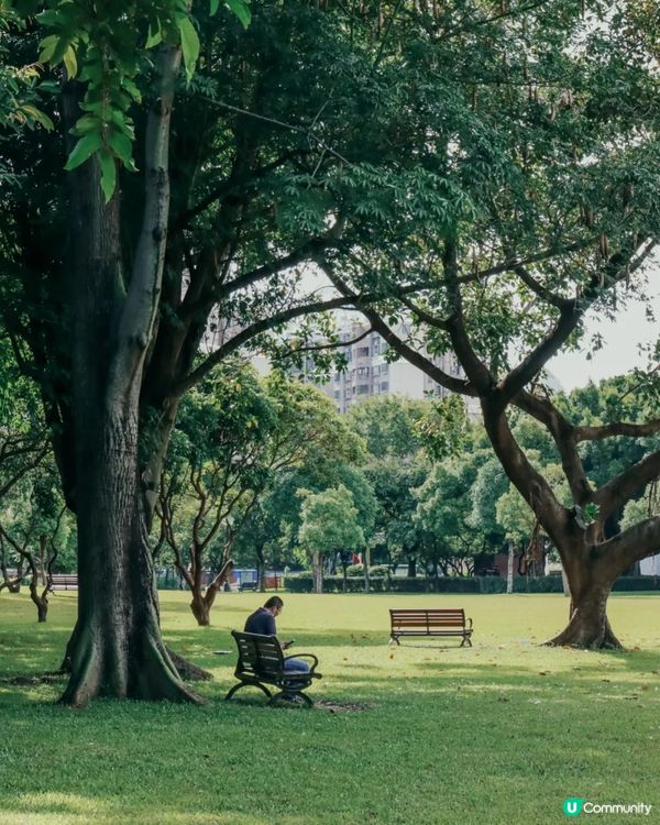 深圳華強北中心公園周末必去🍃宮崎駿「網紅橋」小紅書爆紅必打卡✨