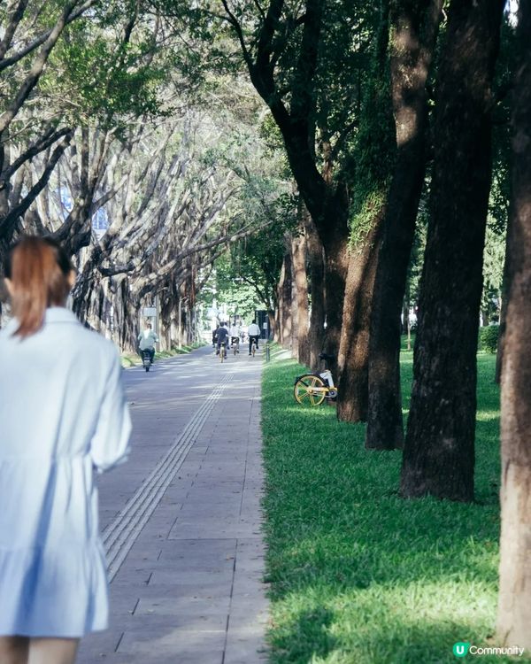 深圳華強北中心公園周末必去🍃宮崎駿「網紅橋」小紅書爆紅必打卡✨