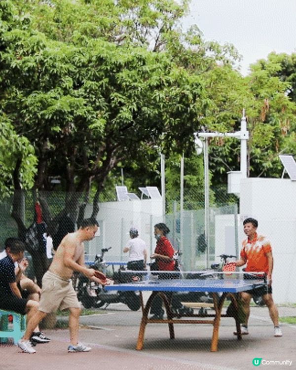深圳華強北中心公園周末必去🍃宮崎駿「網紅橋」小紅書爆紅必打卡✨