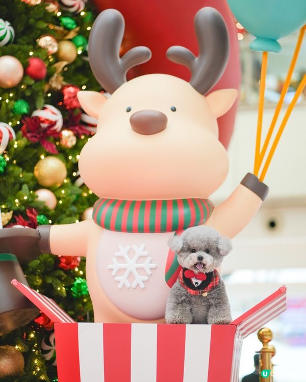 2025年人寵聖誕好去處🎄