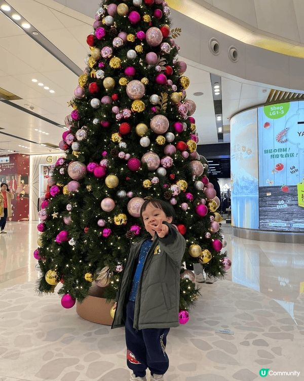 我想同丈夫和兒子一齊食LIFETASTIC聖誕蛋糕，因為我可...