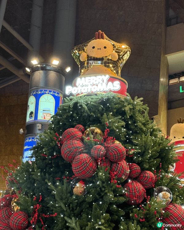 12月是個十分值個慶祝的月份，不但是聖誕節，有濃厚節日氣氛，...