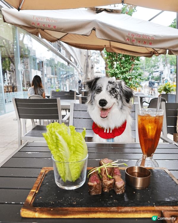 Mikiki地下西班牙餐廳Tapas Brew不單寵物友善，...