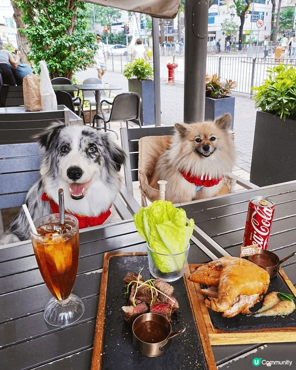 Mikiki地下西班牙餐廳Tapas Brew不單寵物友善，...