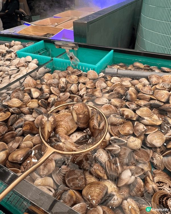 生猛海鮮與豐富選擇