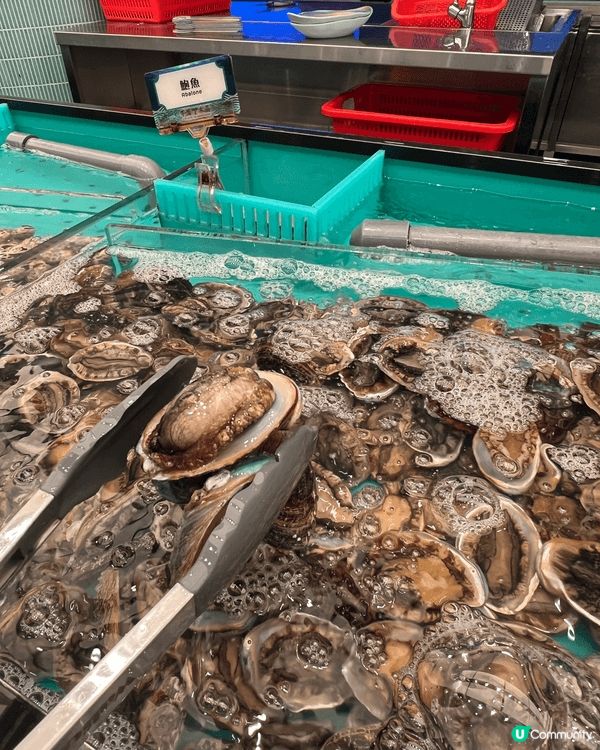 生猛海鮮與豐富選擇