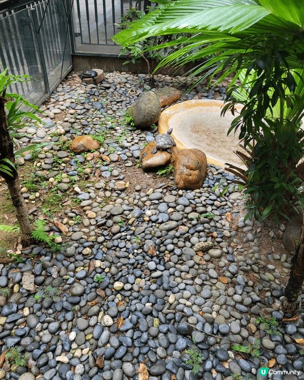 香港動植物公園一日遊