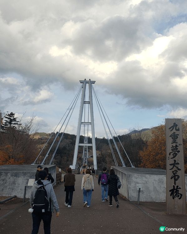 九州福岡追逐楓葉，秋月城盛開楓葉，悠閒賞楓，九重夢大吊橋建築...