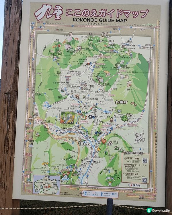 九州福岡追逐楓葉，秋月城盛開楓葉，悠閒賞楓，九重夢大吊橋建築...