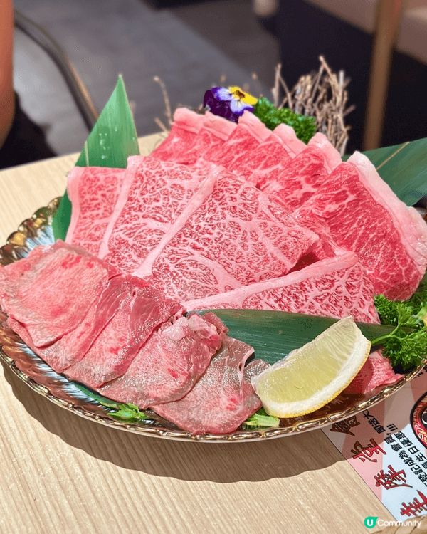 呢間達摩主題嘅日式餐廳🇯🇵裝修風格好日系，設有達摩神台、打卡...