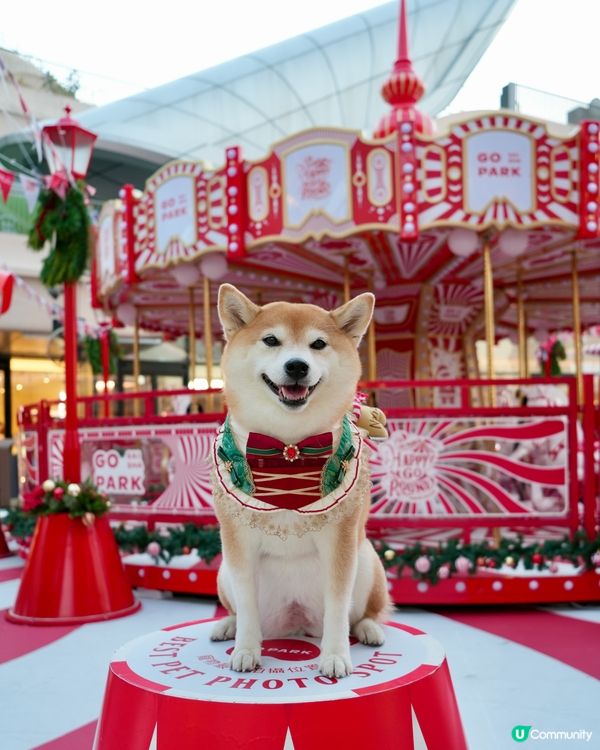 🌟Happy Go Round冬日樂園💫