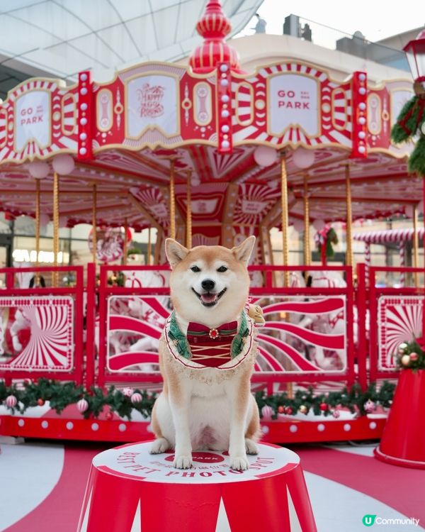 🌟Happy Go Round冬日樂園💫