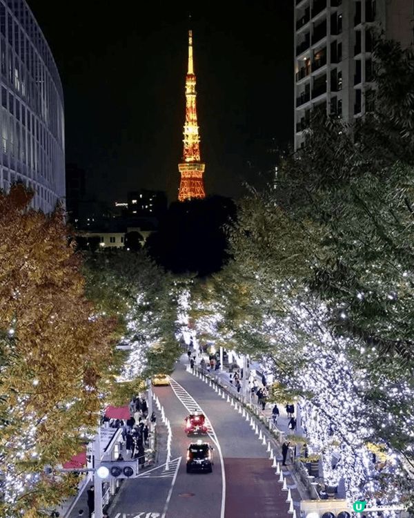聖誕將至，火樹銀花，浪漫靚景，