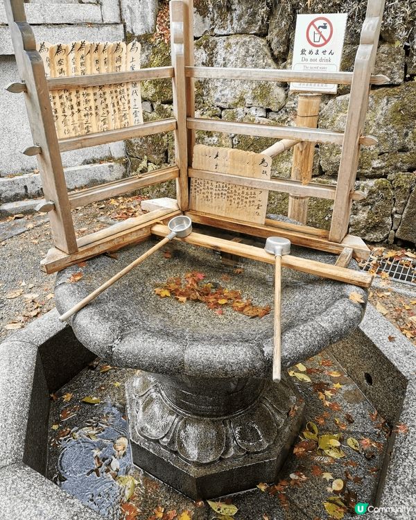 京都清水寺座落於音羽山之上，秋季正值紅葉季，與周圍茂密的紅葉...