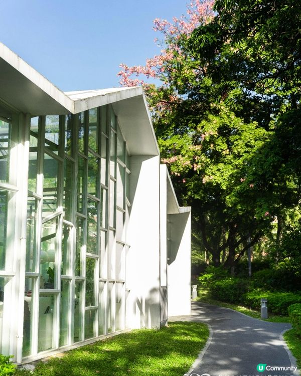 深圳南山打卡必去「白色玻璃屋Cafe」☕️四周綠意盎然勁似歐洲🌿