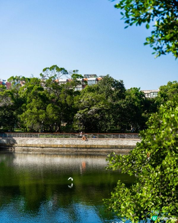 深圳南山打卡必去「白色玻璃屋Cafe」☕️四周綠意盎然勁似歐洲🌿