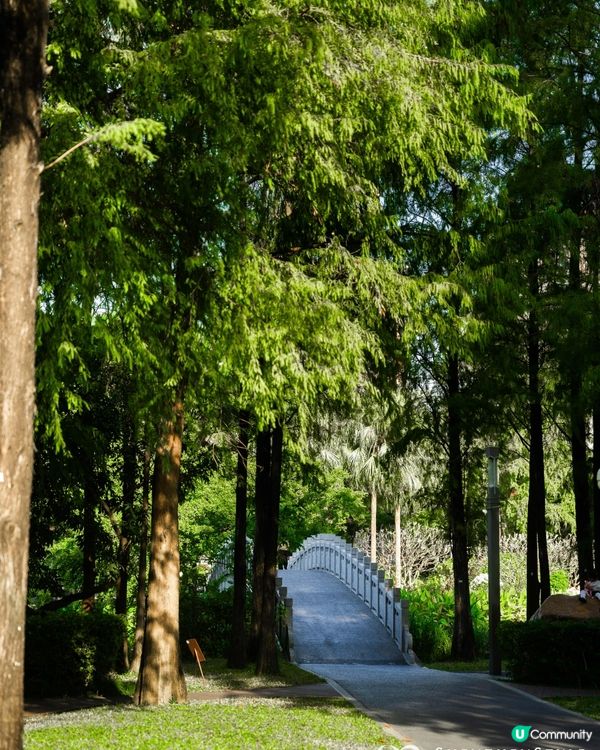 深圳南山打卡必去「白色玻璃屋Cafe」☕️四周綠意盎然勁似歐洲🌿
