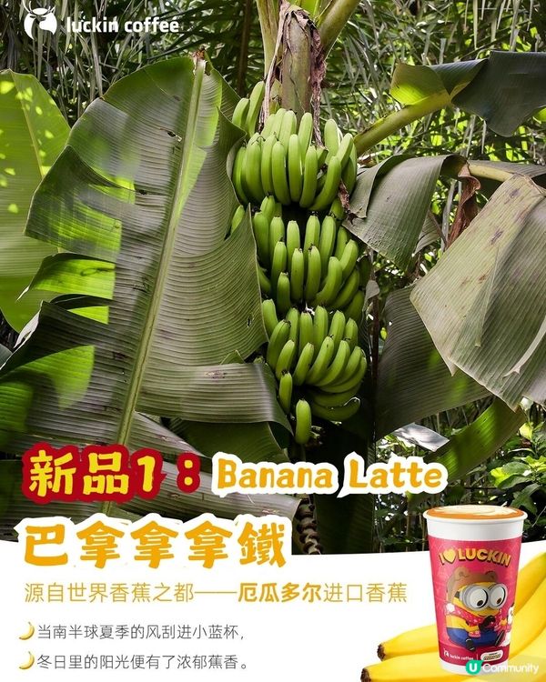 瑞幸咖啡聯乘Minions🥰超可愛新品+限定周邊今日上架！