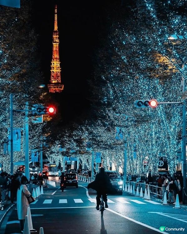 東京聖誕點燈攻略！🎄✨ 浪漫到爆！