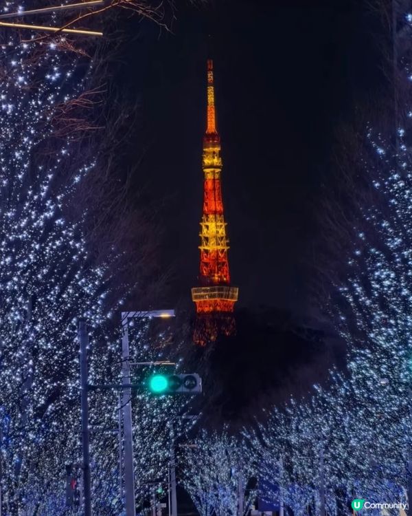 東京聖誕點燈攻略！🎄✨ 浪漫到爆！