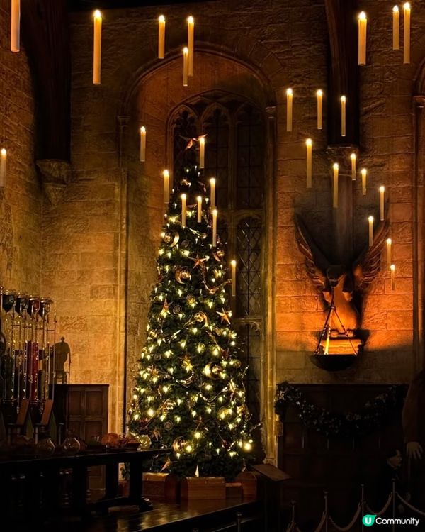 東京聖誕點燈攻略！🎄✨ 浪漫到爆！