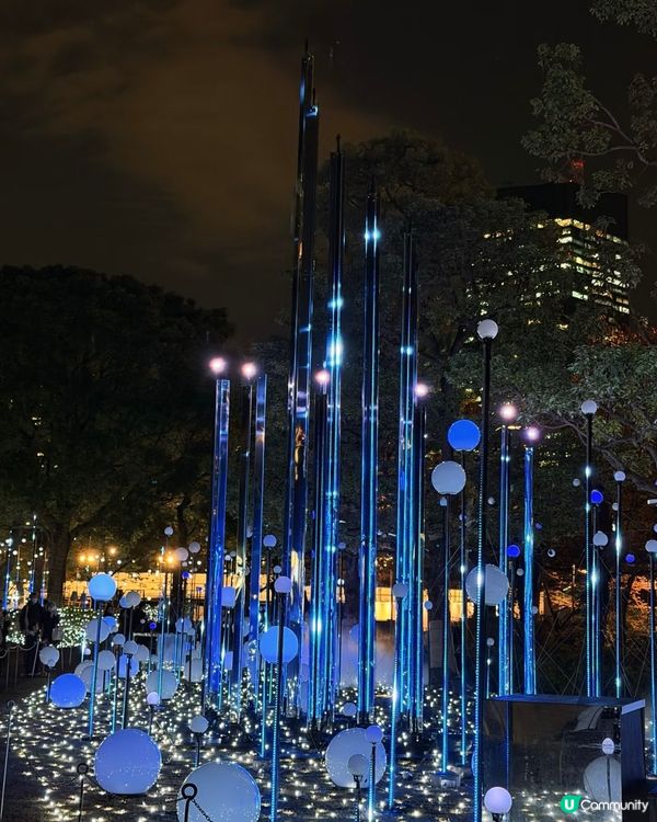 東京聖誕點燈攻略！🎄✨ 浪漫到爆！