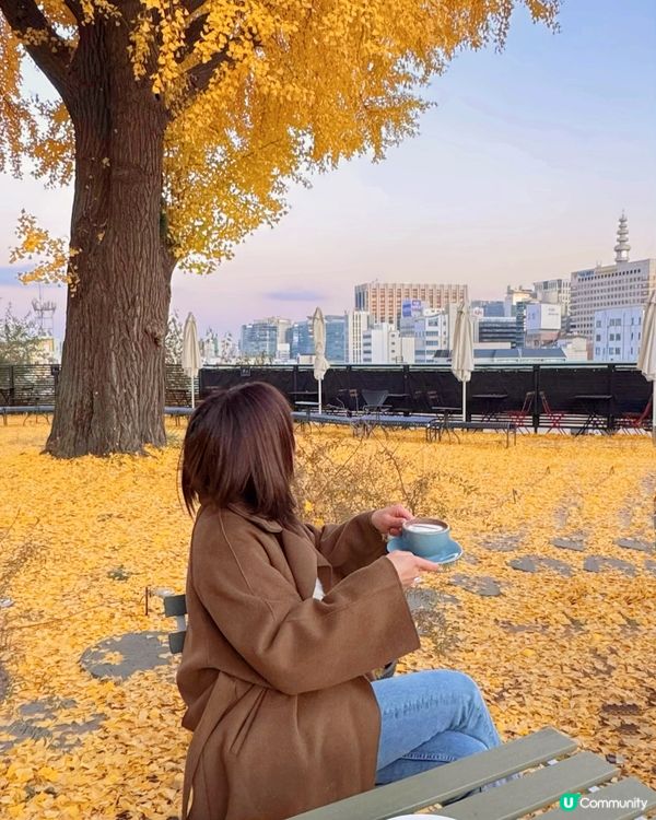 首爾Bar, Cafe, Bakery推介🇰🇷💛☺️