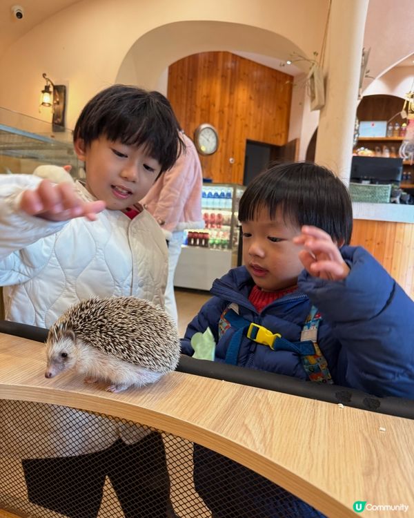 聖誕節2025‼️珠海聖誕親子遊！一票玩盡機動🎠溫泉♨️動物園🐑