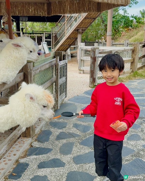 聖誕節2025‼️珠海聖誕親子遊！一票玩盡機動🎠溫泉♨️動物園🐑