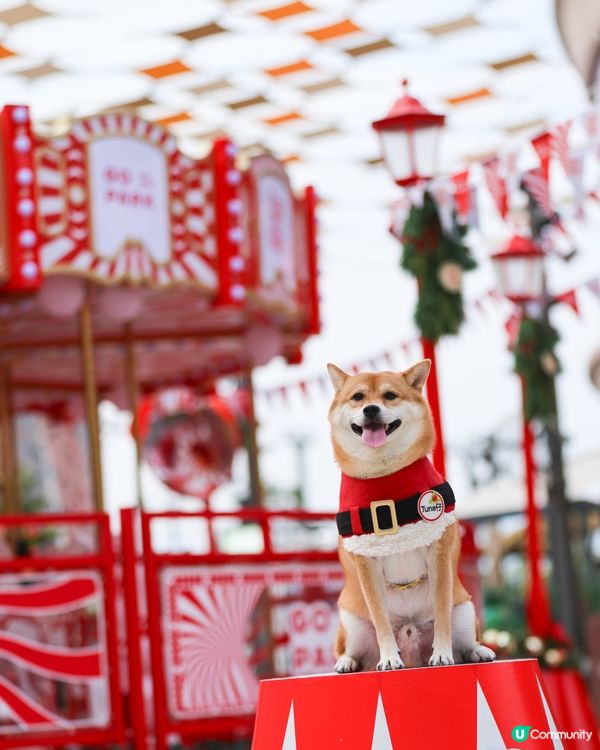 西沙GO PARK全新｢炫夢旋轉木馬｣