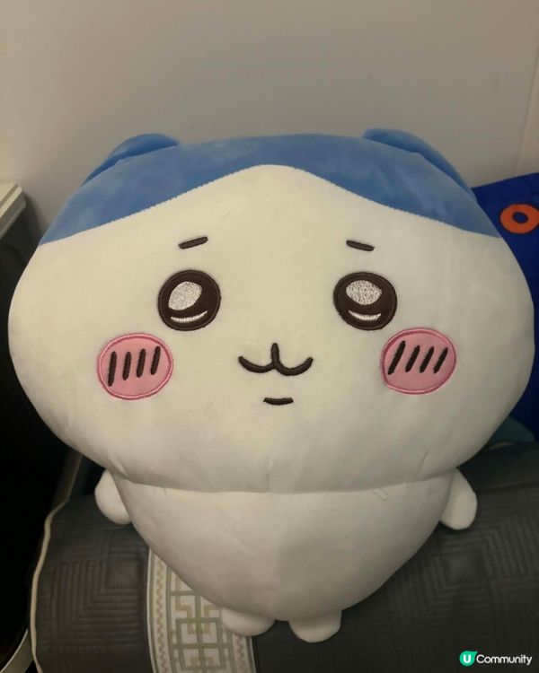 小八貓 ，兔哥 ，飛鼠