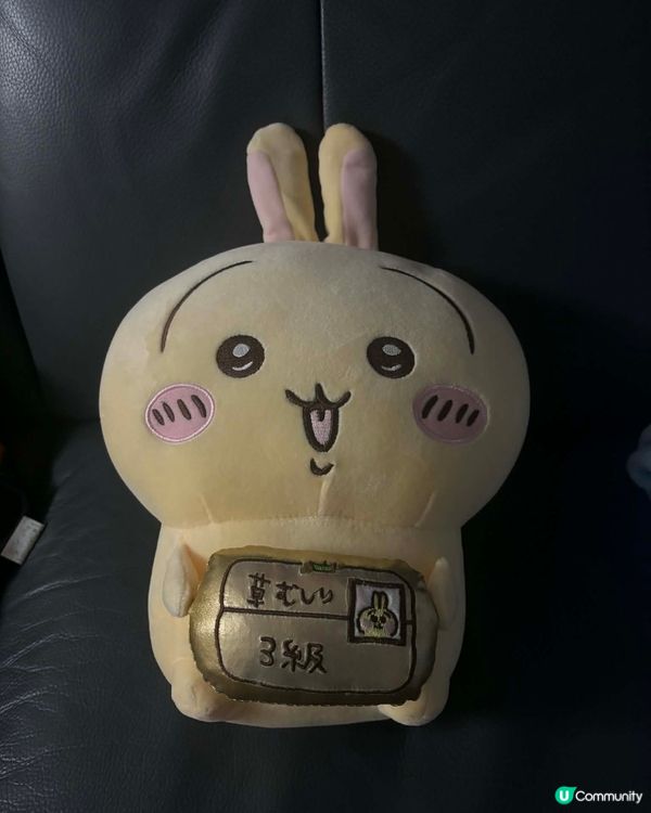 小八貓 ，兔哥 ，飛鼠