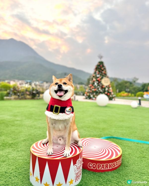 西沙GO PARK全新｢炫夢旋轉木馬｣