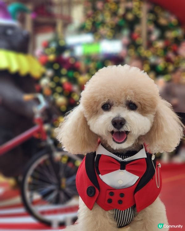 新城市廣場聖誕打卡