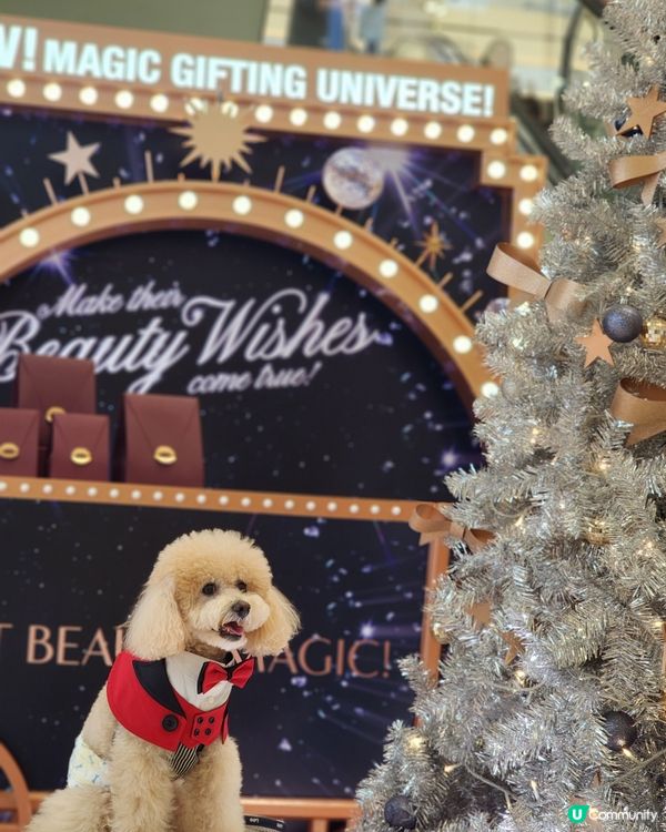 新城市廣場聖誕打卡