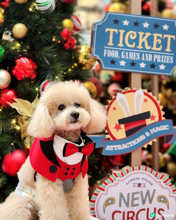 新城市廣場聖誕打卡