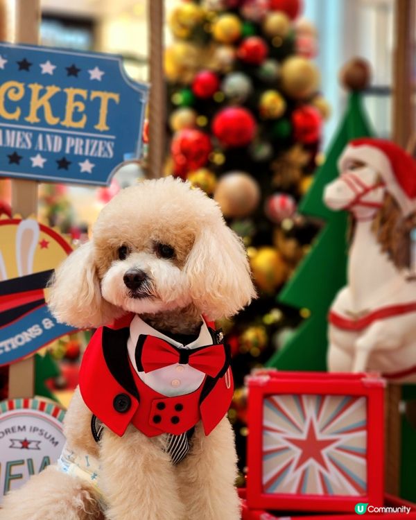 新城市廣場聖誕打卡