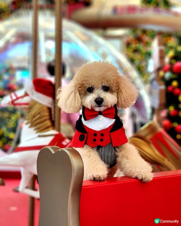 新城市廣場聖誕打卡