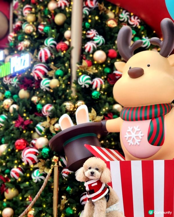 新城市廣場聖誕打卡