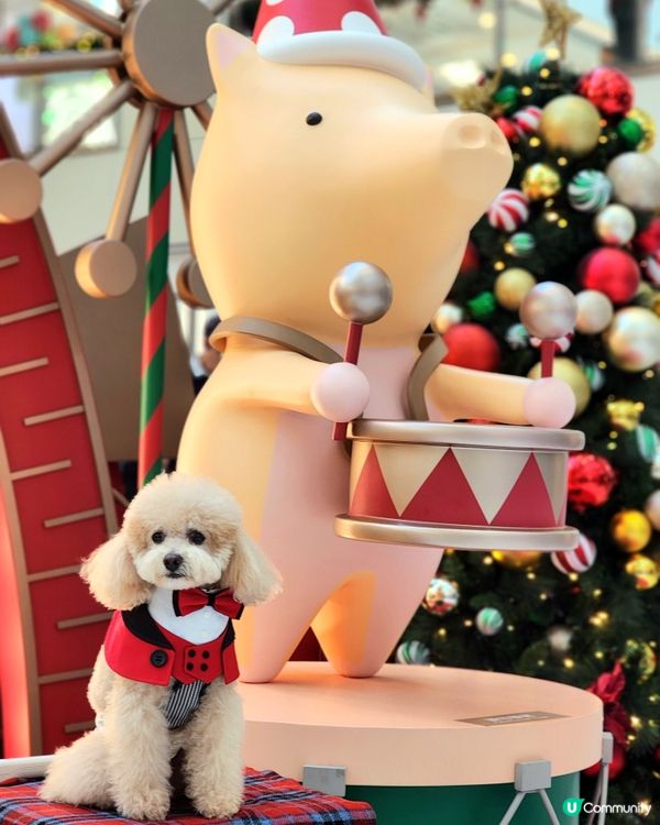 新城市廣場聖誕打卡