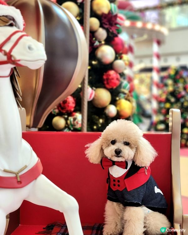 新城市廣場聖誕打卡