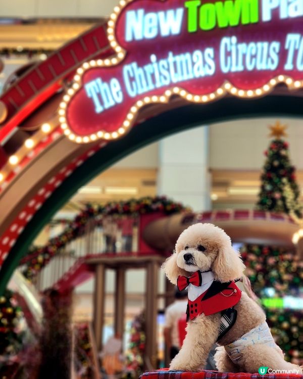 新城市廣場聖誕打卡