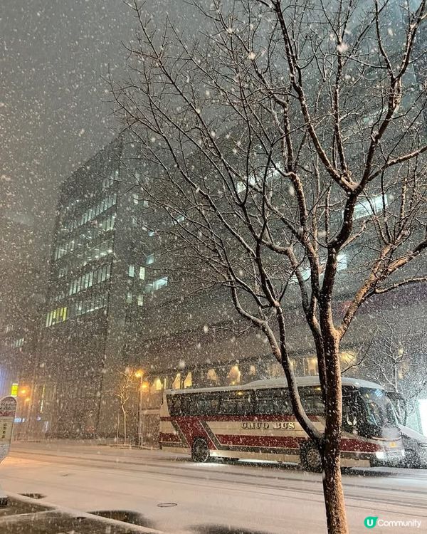 北海道雪景❄️！浪漫到爆！😍