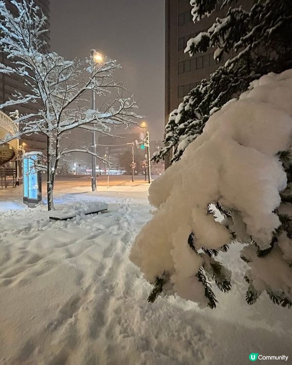 北海道雪景❄️！浪漫到爆！😍
